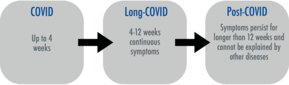 mögliche Phasen einer COVID-19 Erkrankung